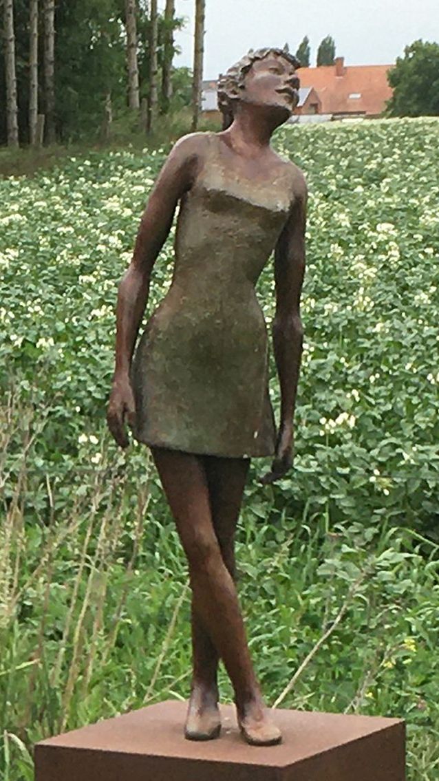 Artists/Images/peter pel_image_als ik niet zeker ben sta ik stil.jpg